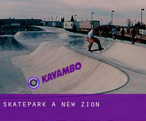 Skatepark à New Zion