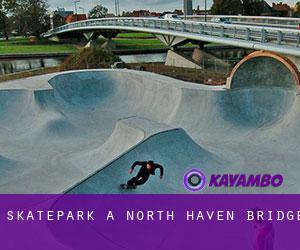 Skatepark à North Haven Bridge
