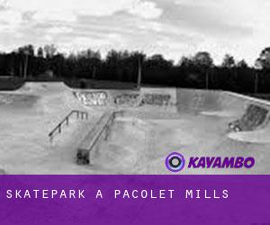 Skatepark à Pacolet Mills