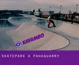 Skatepark à Pahaquarry
