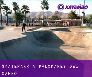 Skatepark à Palomares del Campo