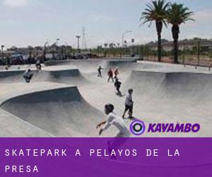 Skatepark à Pelayos de la Presa
