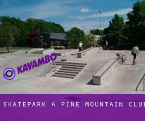 Skatepark à Pine Mountain Club