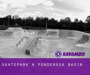 Skatepark à Ponderosa Basin