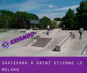 Skatepark à Saint-Étienne-le-Molard