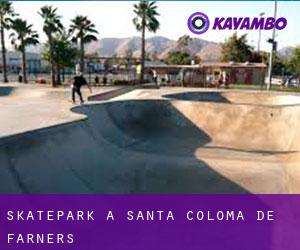 Skatepark à Santa Coloma de Farners