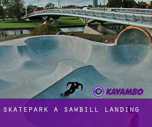 Skatepark à Sawbill Landing