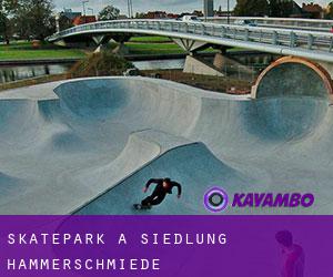 Skatepark à Siedlung Hammerschmiede