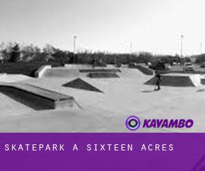 Skatepark à Sixteen Acres