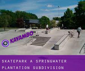 Skatepark à Springwater Plantation Subdivision