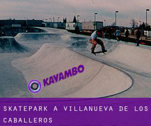Skatepark à Villanueva de los Caballeros