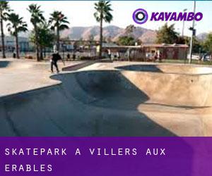 Skatepark à Villers-aux-Érables