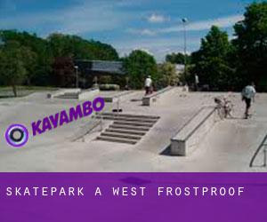 Skatepark à West Frostproof