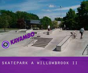 Skatepark à WillowBrook II