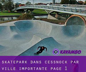 Skatepark dans Cessnock par ville importante - page 1