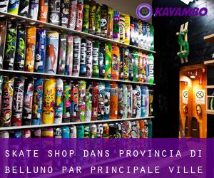 Skate shop dans Provincia di Belluno par principale ville - page 1