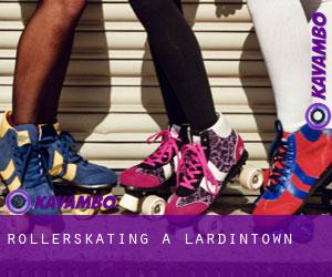 Rollerskating à Lardintown