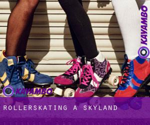 Rollerskating à Skyland