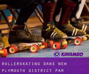 Rollerskating dans New Plymouth District par municipalité - page 2