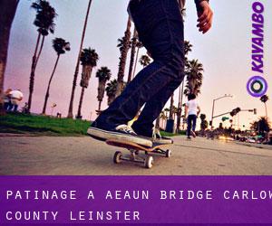 patinage à Aeaun Bridge (Carlow County, Leinster)