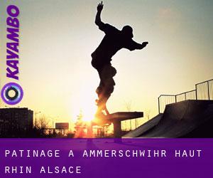 patinage à Ammerschwihr (Haut-Rhin, Alsace)