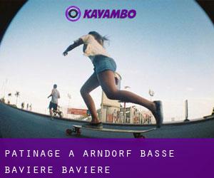 patinage à Arndorf (Basse-Bavière, Bavière)