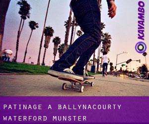 patinage à Ballynacourty (Waterford, Munster)