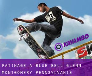 patinage à Blue Bell Glenn (Montgomery, Pennsylvanie)