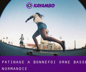 patinage à Bonnefoi (Orne, Basse-Normandie)