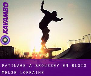 patinage à Broussey-en-Blois (Meuse, Lorraine)