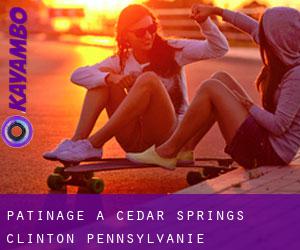 patinage à Cedar Springs (Clinton, Pennsylvanie)