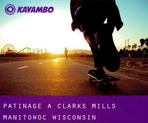 patinage à Clarks Mills (Manitowoc, Wisconsin)
