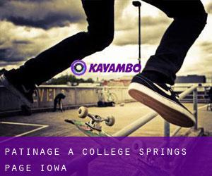 patinage à College Springs (Page, Iowa)