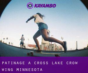 patinage à Cross Lake (Crow Wing, Minnesota)