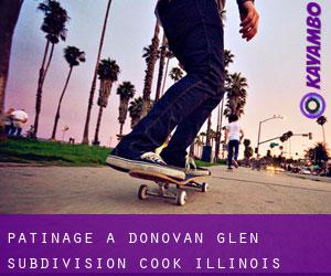 patinage à Donovan Glen Subdivision (Cook, Illinois)