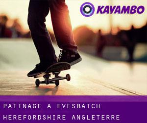 patinage à Evesbatch (Herefordshire, Angleterre)