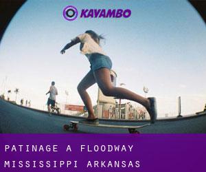 patinage à Floodway (Mississippi, Arkansas)