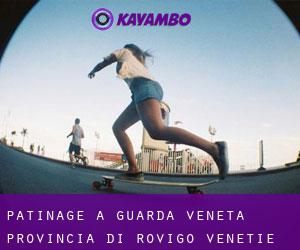 patinage à Guarda Veneta (Provincia di Rovigo, Vénétie)
