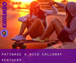 patinage à Hico (Calloway, Kentucky)