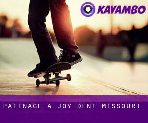 patinage à Joy (Dent, Missouri)