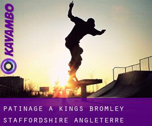 patinage à Kings Bromley (Staffordshire, Angleterre)