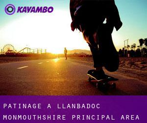 patinage à Llanbadoc (Monmouthshire principal area, Pays de Galles)