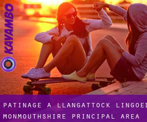 patinage à Llangattock Lingoed (Monmouthshire principal area, Pays de Galles)