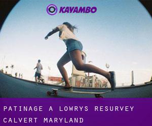 patinage à Lowrys Resurvey (Calvert, Maryland)