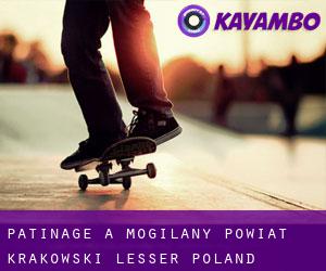 patinage à Mogilany (Powiat krakowski (Lesser Poland Voivodeship), Voïvodie de Petite-Pologne)