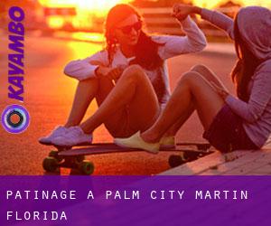 patinage à Palm City (Martin, Florida)