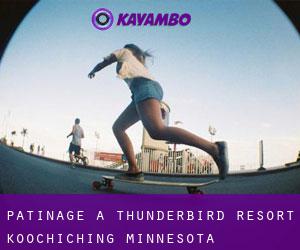 patinage à Thunderbird Resort (Koochiching, Minnesota)