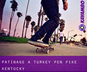 patinage à Turkey Pen (Pike, Kentucky)