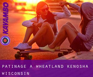 patinage à Wheatland (Kenosha, Wisconsin)