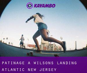 patinage à Wilsons Landing (Atlantic, New Jersey)